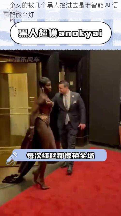 一个女的被几个黑人抬进去是谁智能 AI 语音智能台灯