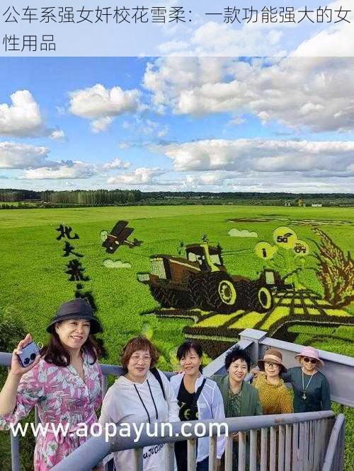 公车系强女奷校花雪柔:一款功能强大的女性用品