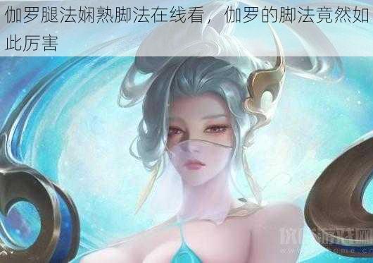 伽罗腿法娴熟脚法在线看,伽罗的脚法竟然如此厉害
