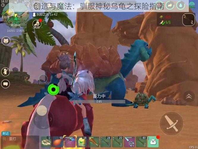 创造与魔法:驯服神秘乌龟之探险指南