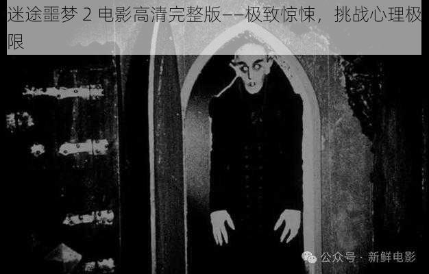 迷途噩梦 2 电影高清完整版——极致惊悚,挑战心理极限
