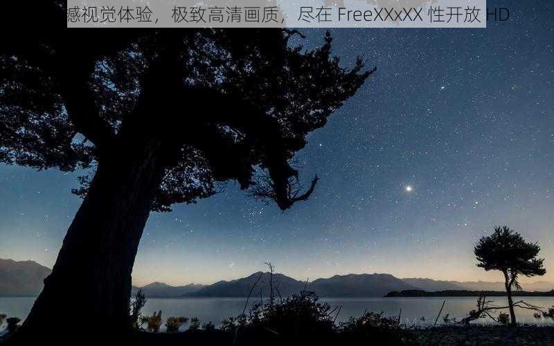 震撼视觉体验,极致高清画质,尽在 FreeXXxXX 性开放 HD