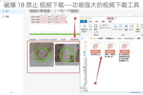 被爆 18 禁止 视频下载——功能强大的视频下载工具