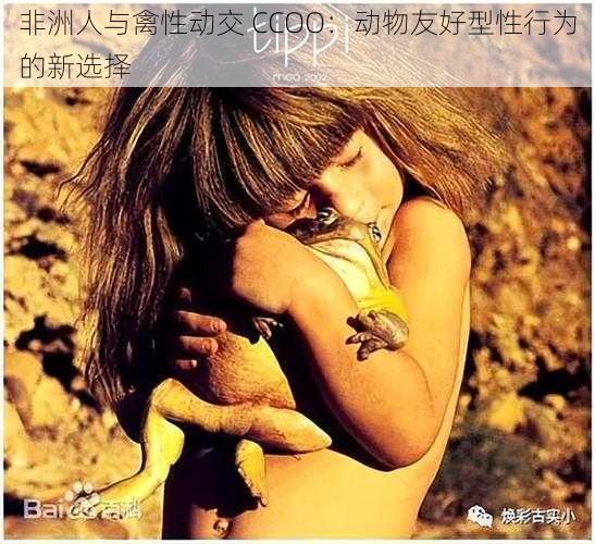 非洲人与禽性动交 CCOO:动物友好型性行为的新选择