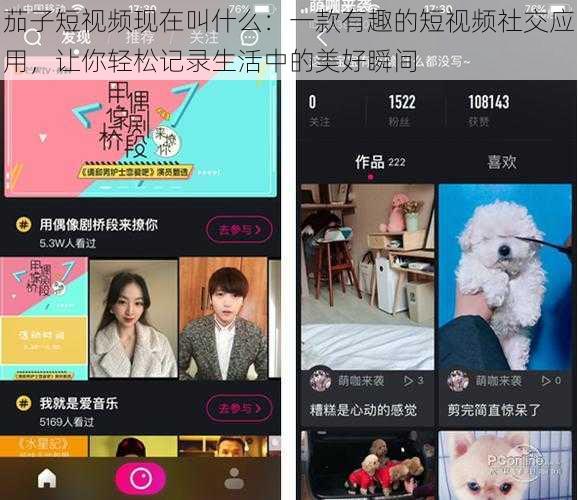茄子短视频现在叫什么:一款有趣的短视频社交应用,让你轻松记录生活中的美好瞬间