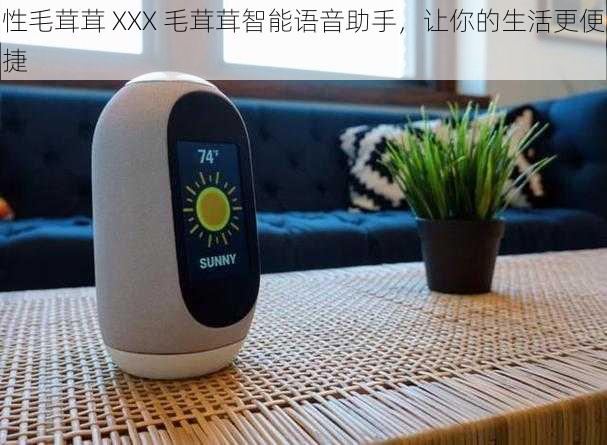 性毛茸茸 XXX 毛茸茸智能语音助手,让你的生活更便捷