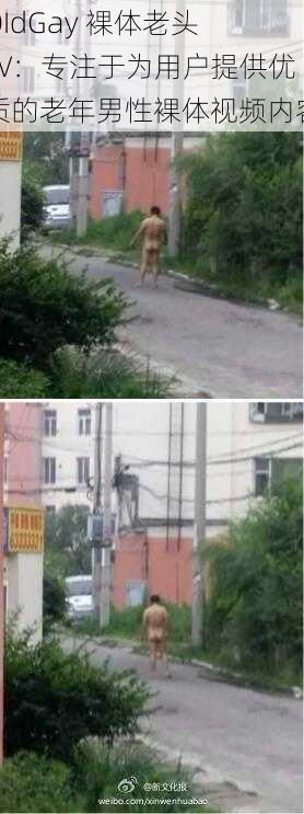 OIdGay 裸体老头 TV:专注于为用户提供优质的老年男性裸体视频内容