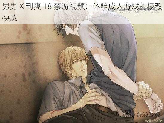 男男 X 到爽 18 禁游视频:体验成人游戏的极致快感