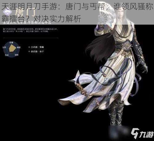 天涯明月刀手游:唐门与丐帮,谁领风骚称霸擂台?对决实力解析