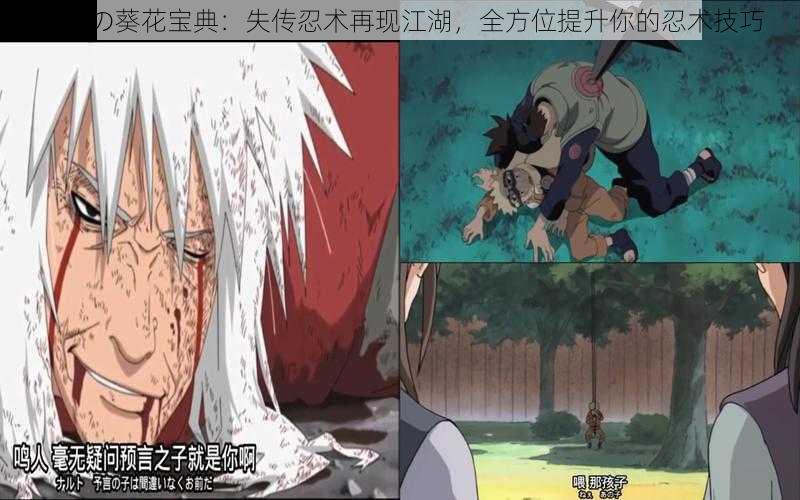 火影の葵花宝典:失传忍术再现江湖,全方位提升你的忍术技巧