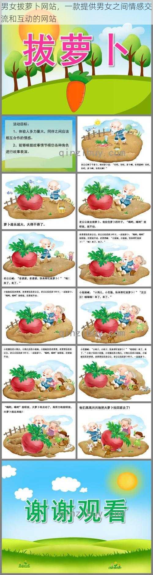 男女拔萝卜网站,一款提供男女之间情感交流和互动的网站