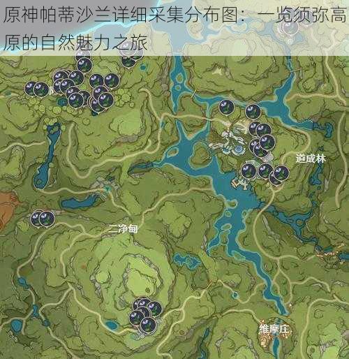原神帕蒂沙兰详细采集分布图:一览须弥高原的自然魅力之旅