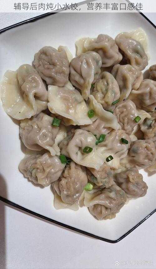 辅导后肉炖小水饺,营养丰富口感佳