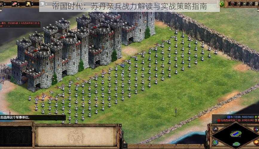 帝国时代:苏丹亲兵战力解读与实战策略指南