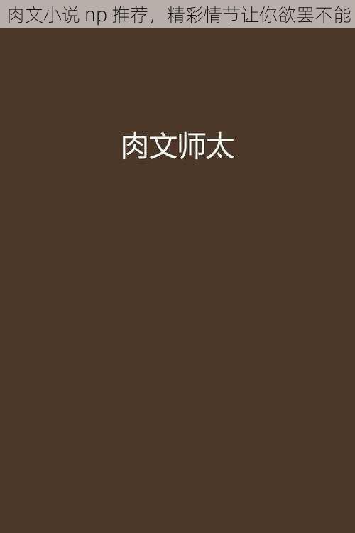 肉文小说 np 推荐,精彩情节让你欲罢不能