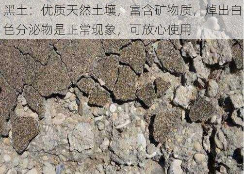 黑土:优质天然土壤,富含矿物质,焯出白色分泌物是正常现象,可放心使用
