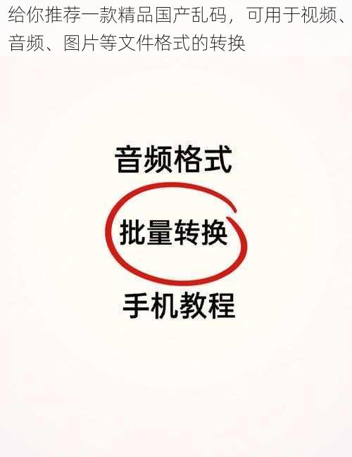 给你推荐一款精品国产乱码,可用于视频、音频、图片等文件格式的转换