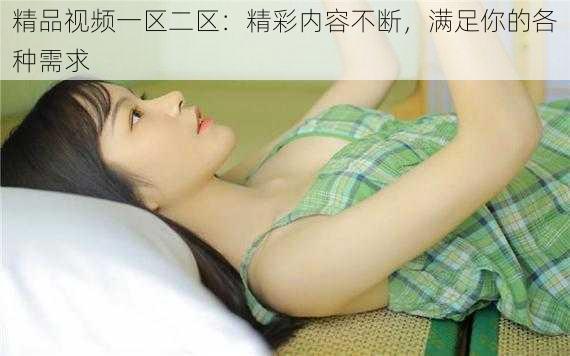 精品视频一区二区:精彩内容不断,满足你的各种需求