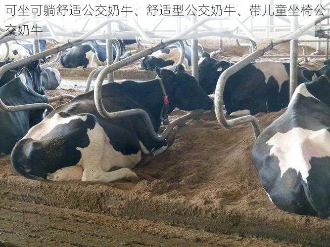 可坐可躺舒适公交奶牛、舒适型公交奶牛、带儿童坐椅公交奶牛