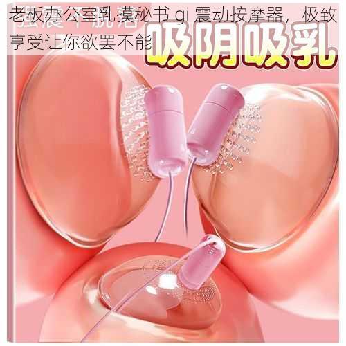 老板办公室乳摸秘书 gi 震动按摩器,极致享受让你欲罢不能