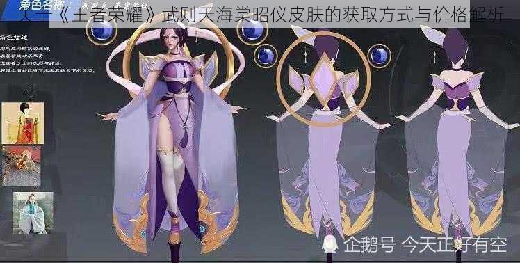 关于《王者荣耀》武则天海棠昭仪皮肤的获取方式与价格解析