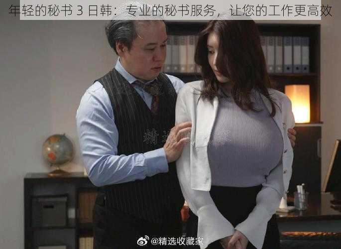 年轻的秘书 3 日韩:专业的秘书服务,让您的工作更高效