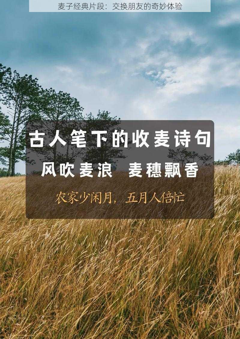 麦子经典片段:交换朋友的奇妙体验