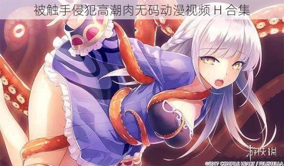 被触手侵犯高潮肉无码动漫视频 H 合集