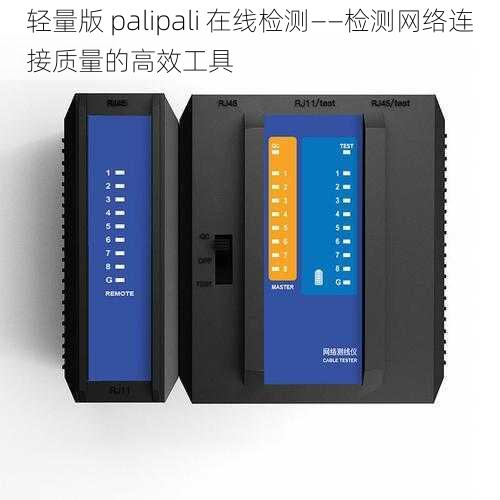 轻量版 palipali 在线检测——检测网络连接质量的高效工具