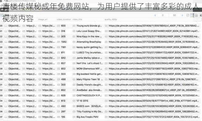 青楼传媒秘成年免费网站,为用户提供了丰富多彩的成人视频内容