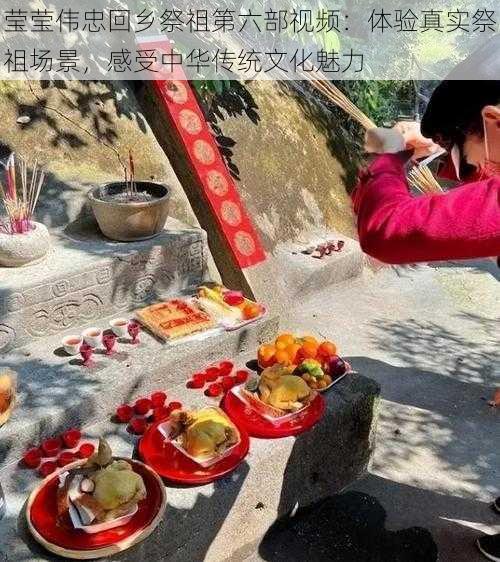 莹莹伟忠回乡祭祖第六部视频:体验真实祭祖场景,感受中华传统文化魅力