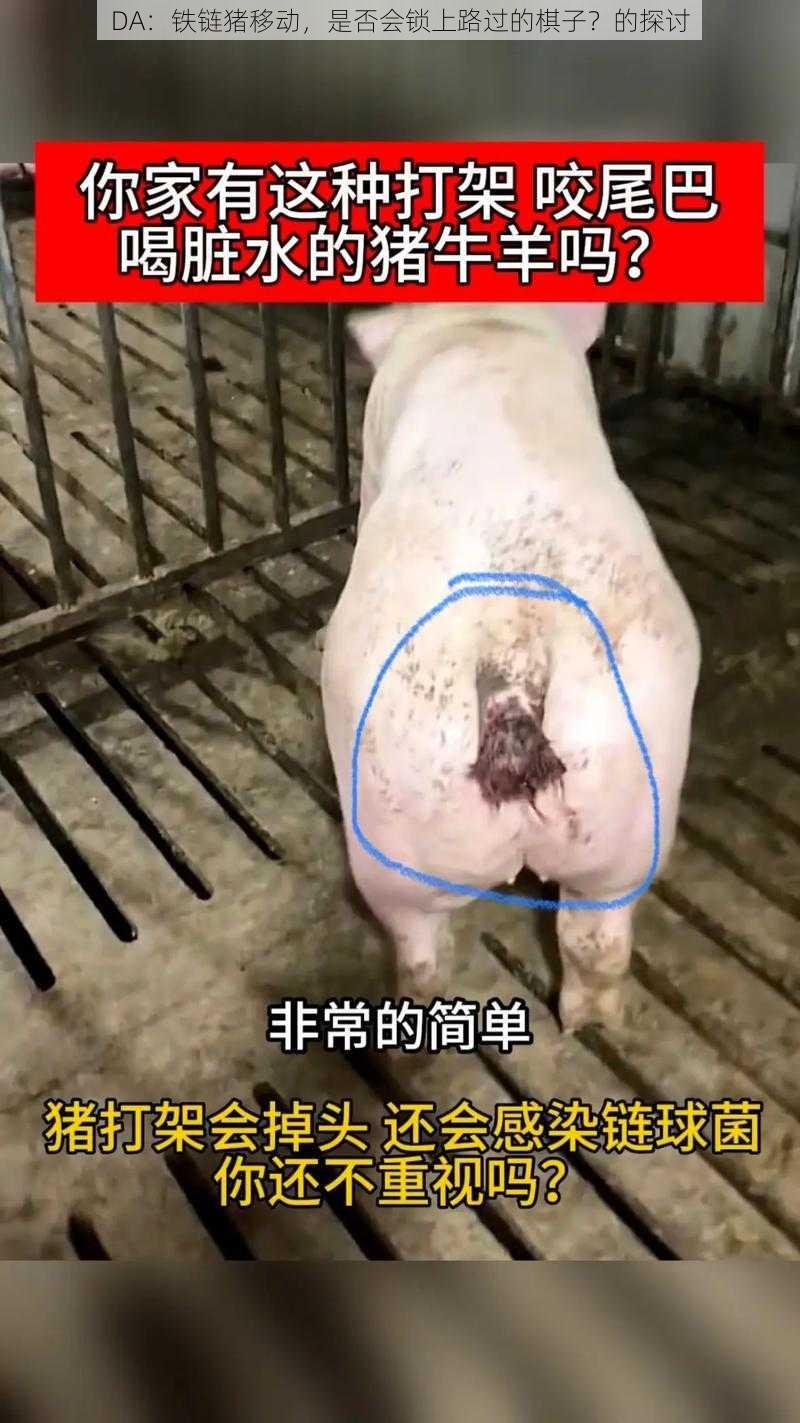 DA:铁链猪移动,是否会锁上路过的棋子?的探讨