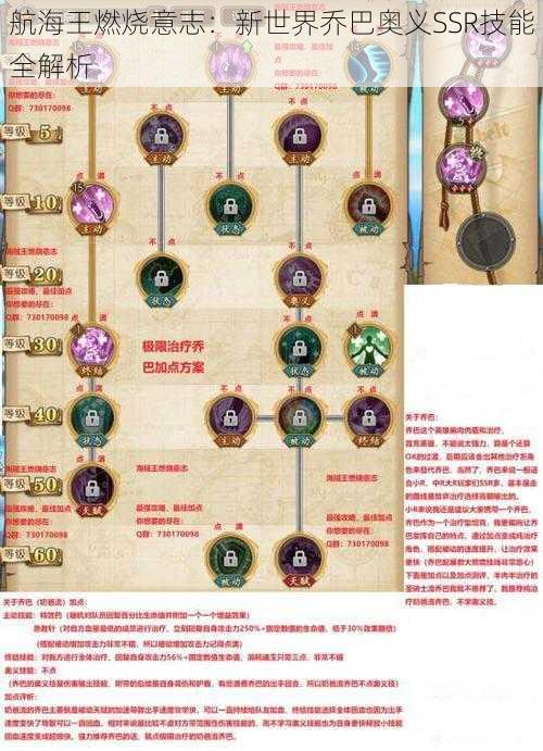航海王燃烧意志:新世界乔巴奥义SSR技能全解析