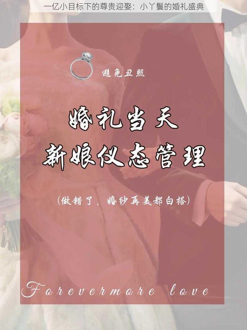 一亿小目标下的尊贵迎娶:小丫鬟的婚礼盛典