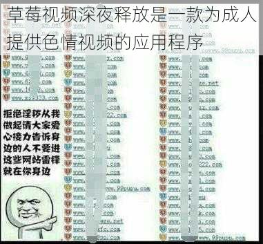 草莓视频深夜释放是一款为成人提供色情视频的应用程序