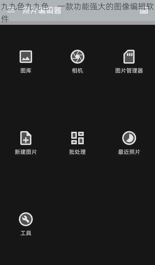 九九色九九色,一款功能强大的图像编辑软件