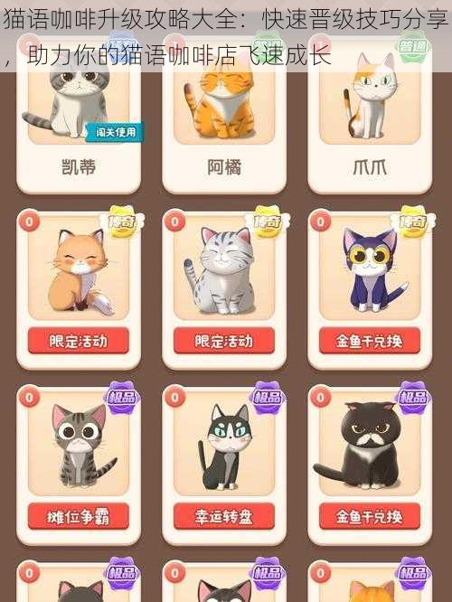 猫语咖啡升级攻略大全:快速晋级技巧分享,助力你的猫语咖啡店飞速成长