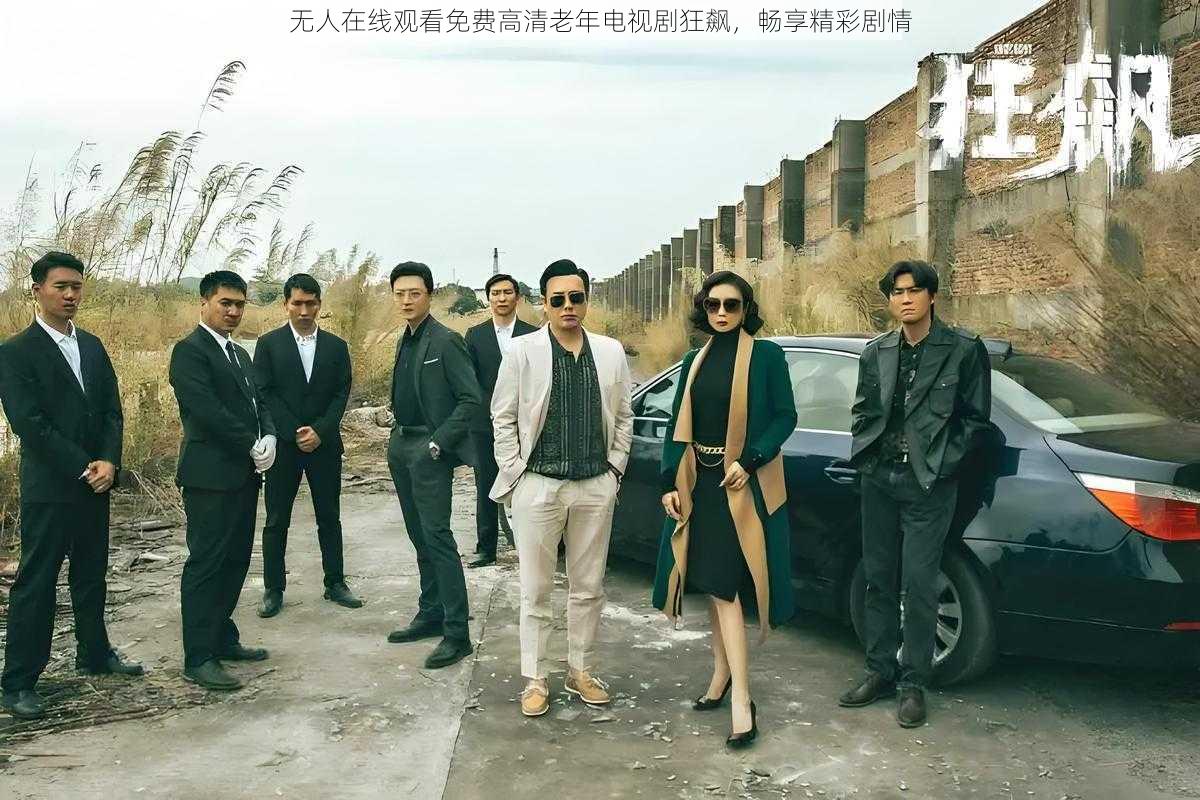 无人在线观看免费高清老年电视剧狂飙,畅享精彩剧情