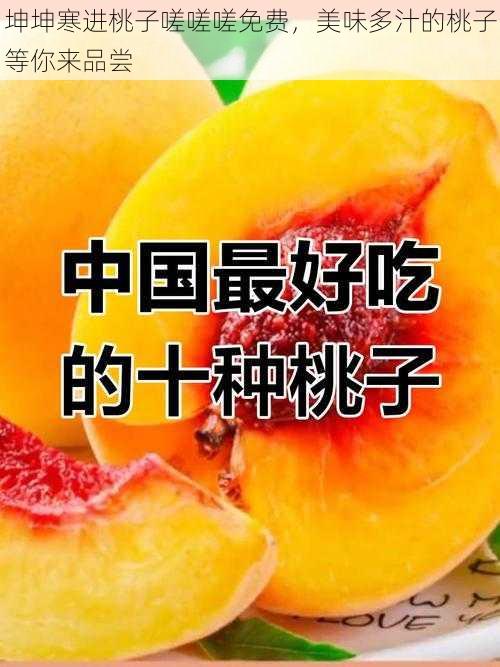 坤坤寒进桃子嗟嗟嗟免费,美味多汁的桃子等你来品尝