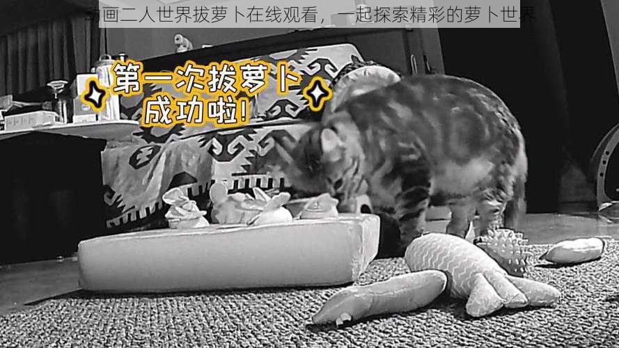 动画二人世界拔萝卜在线观看,一起探索精彩的萝卜世界