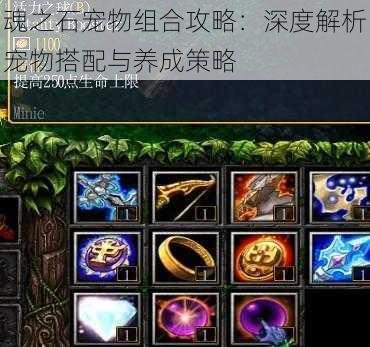 魂之石宠物组合攻略:深度解析宠物搭配与养成策略
