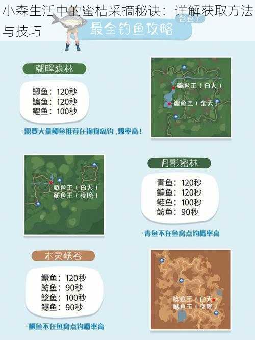 小森生活中的蜜桔采摘秘诀:详解获取方法与技巧