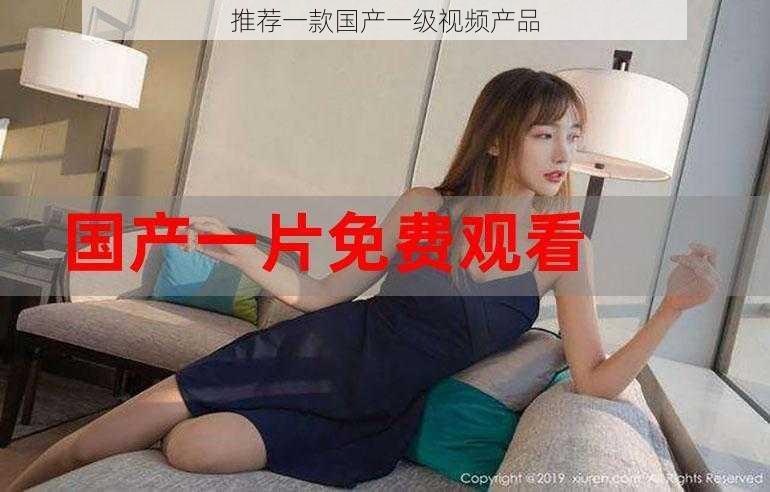 推荐一款国产一级视频产品