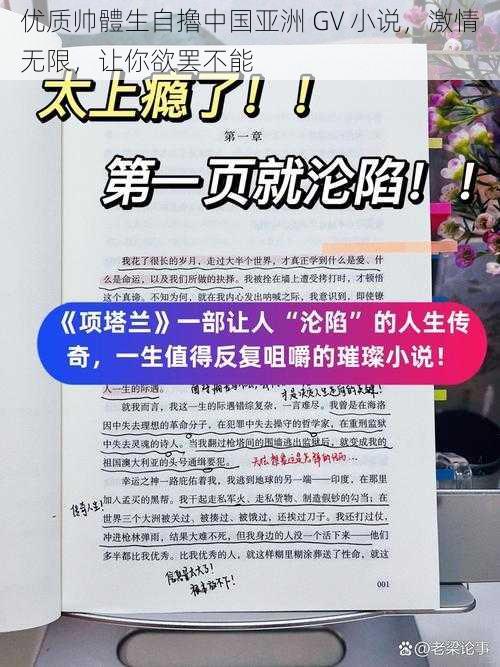 优质帅體生自擼中国亚洲 GV 小说,激情无限,让你欲罢不能