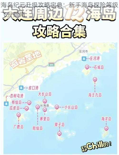 海岛纪元升级攻略宝典:新手海岛探险等级飞升指南