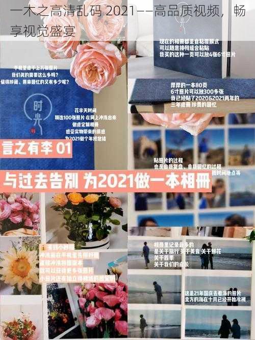 一木之高清乱码 2021——高品质视频,畅享视觉盛宴