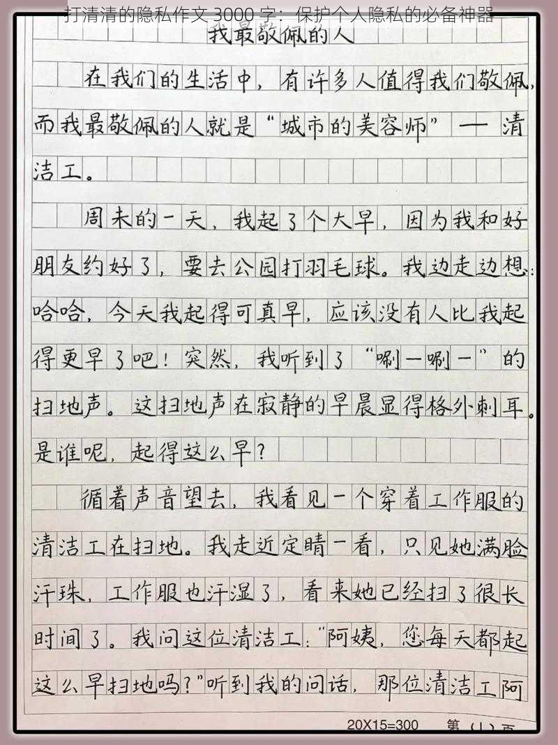 打清清的隐私作文 3000 字:保护个人隐私的必备神器