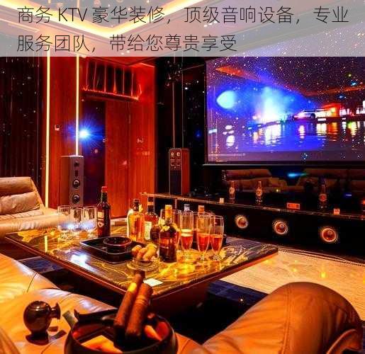 商务 KTV 豪华装修,顶级音响设备,专业服务团队,带给您尊贵享受