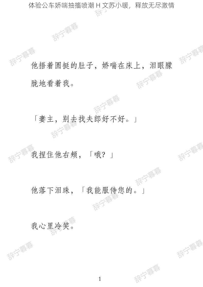 体验公车娇喘抽搐喷潮 H 文苏小暖,释放无尽激情