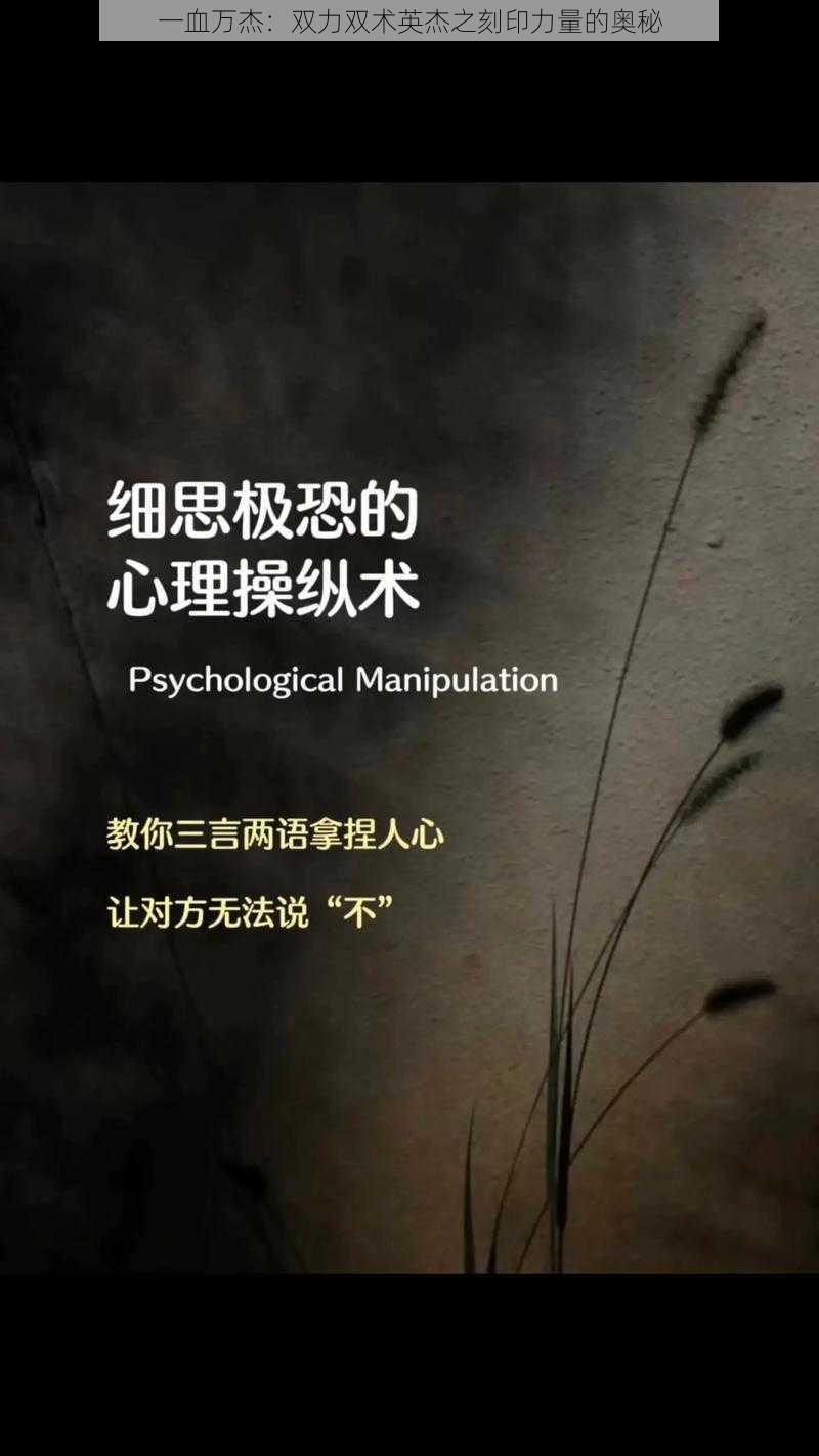 一血万杰:双力双术英杰之刻印力量的奥秘